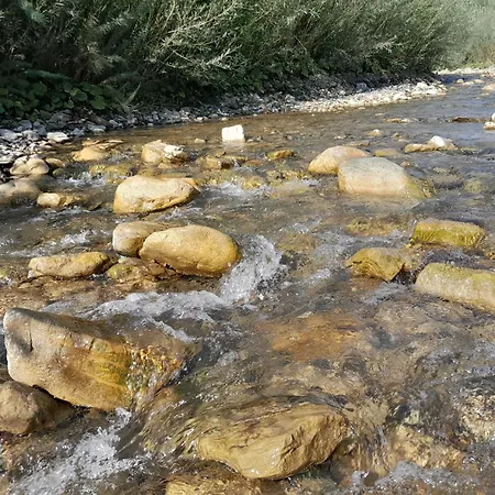 мріяти شقة *