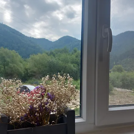 мріяти Διαμέρισμα Verkhovyna