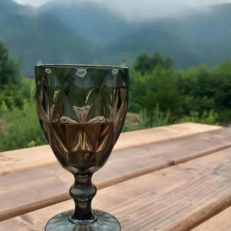 мріяти Verkhovyna