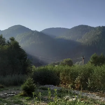 мріяти Lejlighed