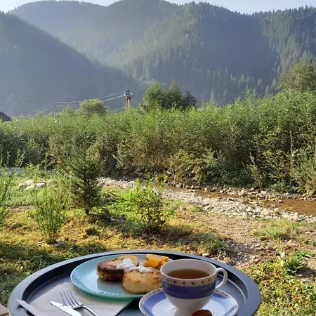 Lejlighed мріяти Verkhovyna