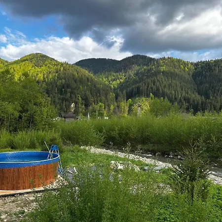 мріяти * Verkhovyna