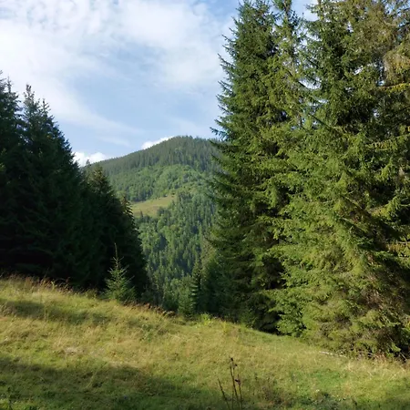 Lägenhet мріяти *