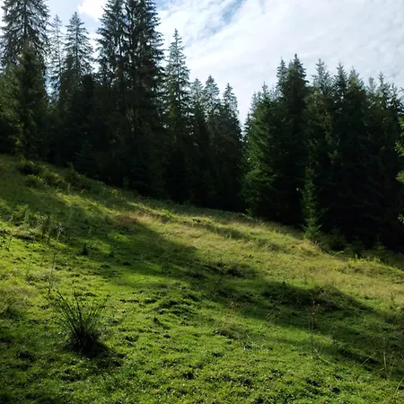 Lägenhet мріяти