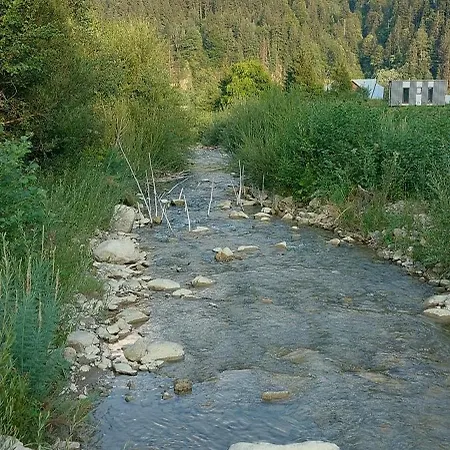 Apartment мріяти Verkhovyna